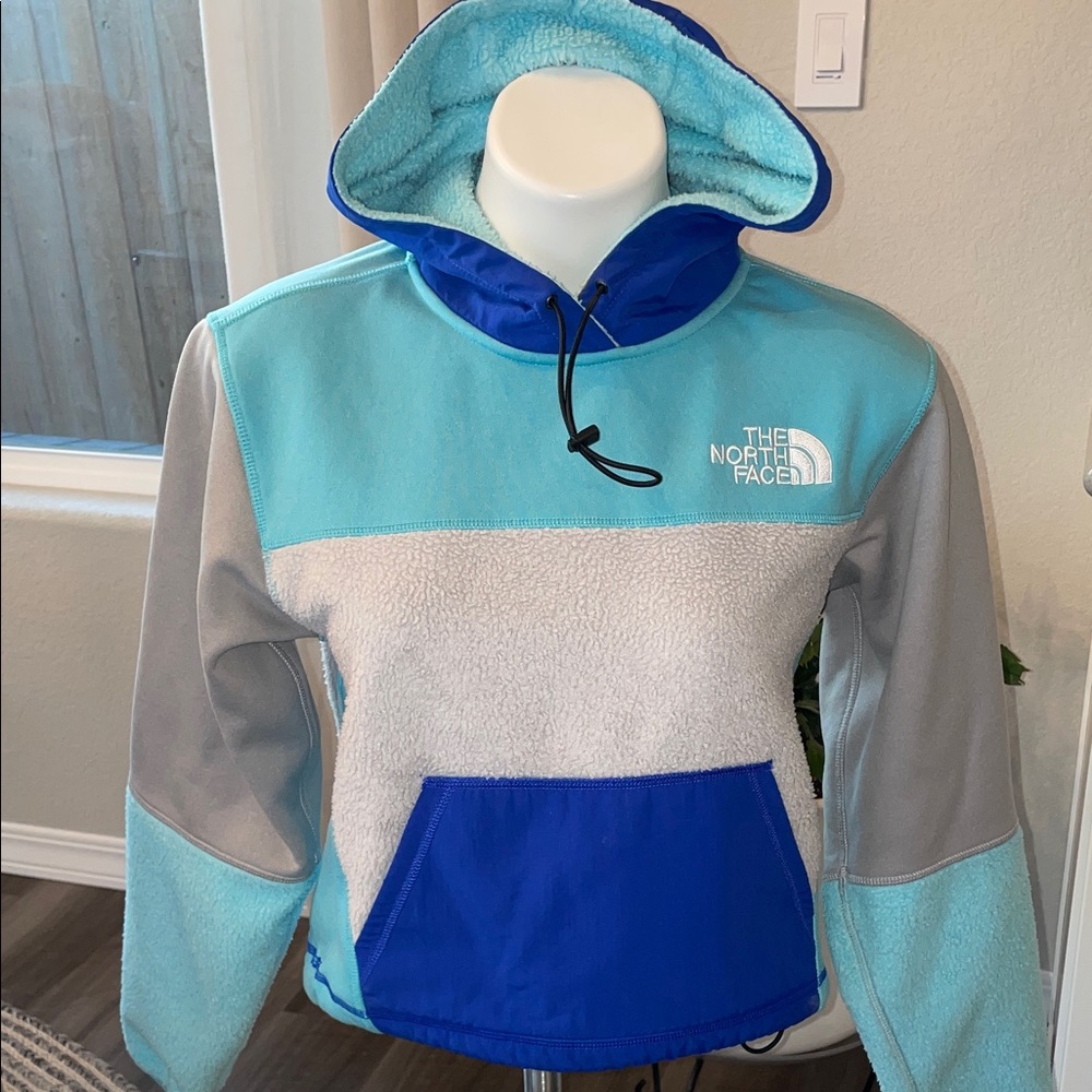 NWOT The North Face Fleece Colorblock Hoodie